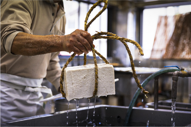 Gokayama Tofu