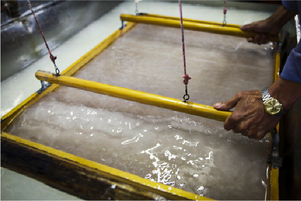 Gokayama Washi Paper