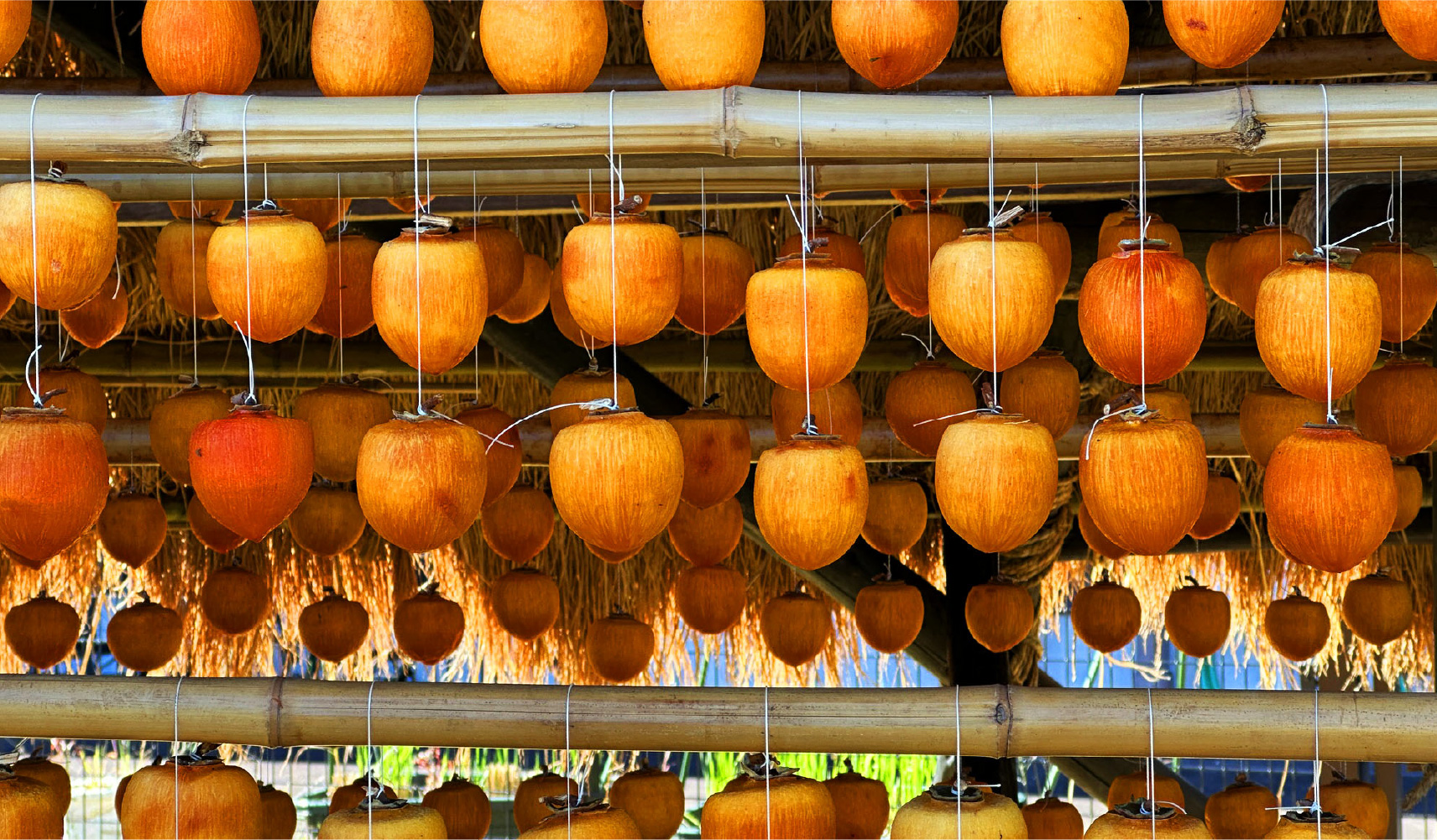 Special Products & Foods