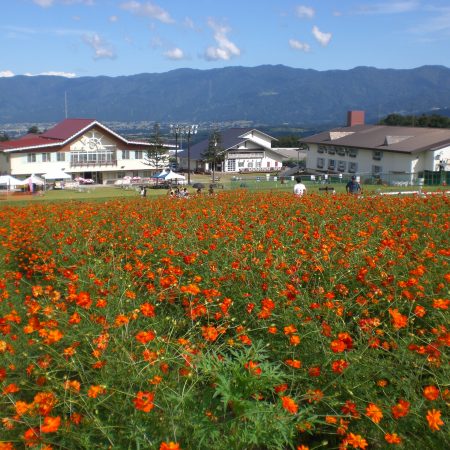 Kibana Cosmos Festival