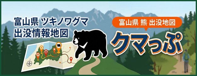 クマっぷ
