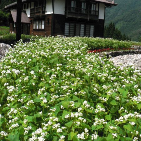 瞑水の館