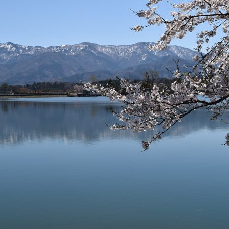 桜ヶ池