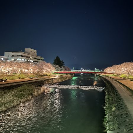 ふくみつ千本桜ライトアップ