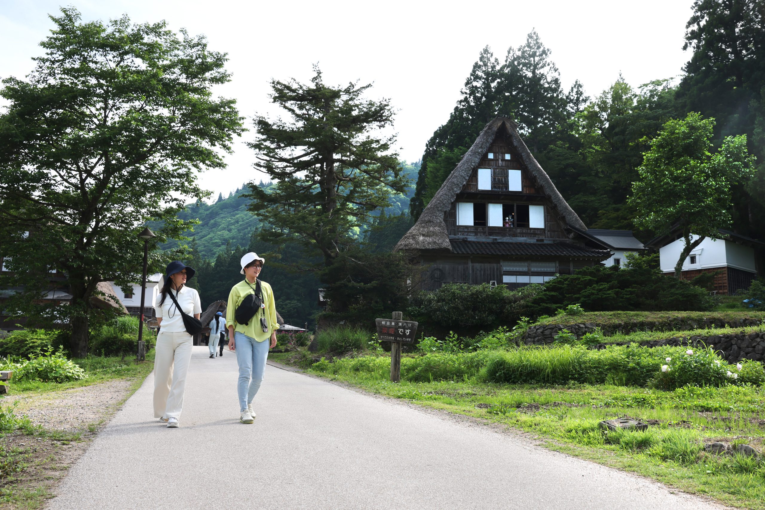 【金沢発着】五箇山の雄大な自然の中でアウトドアを満喫！新緑を楽しむ初夏のドライブコース