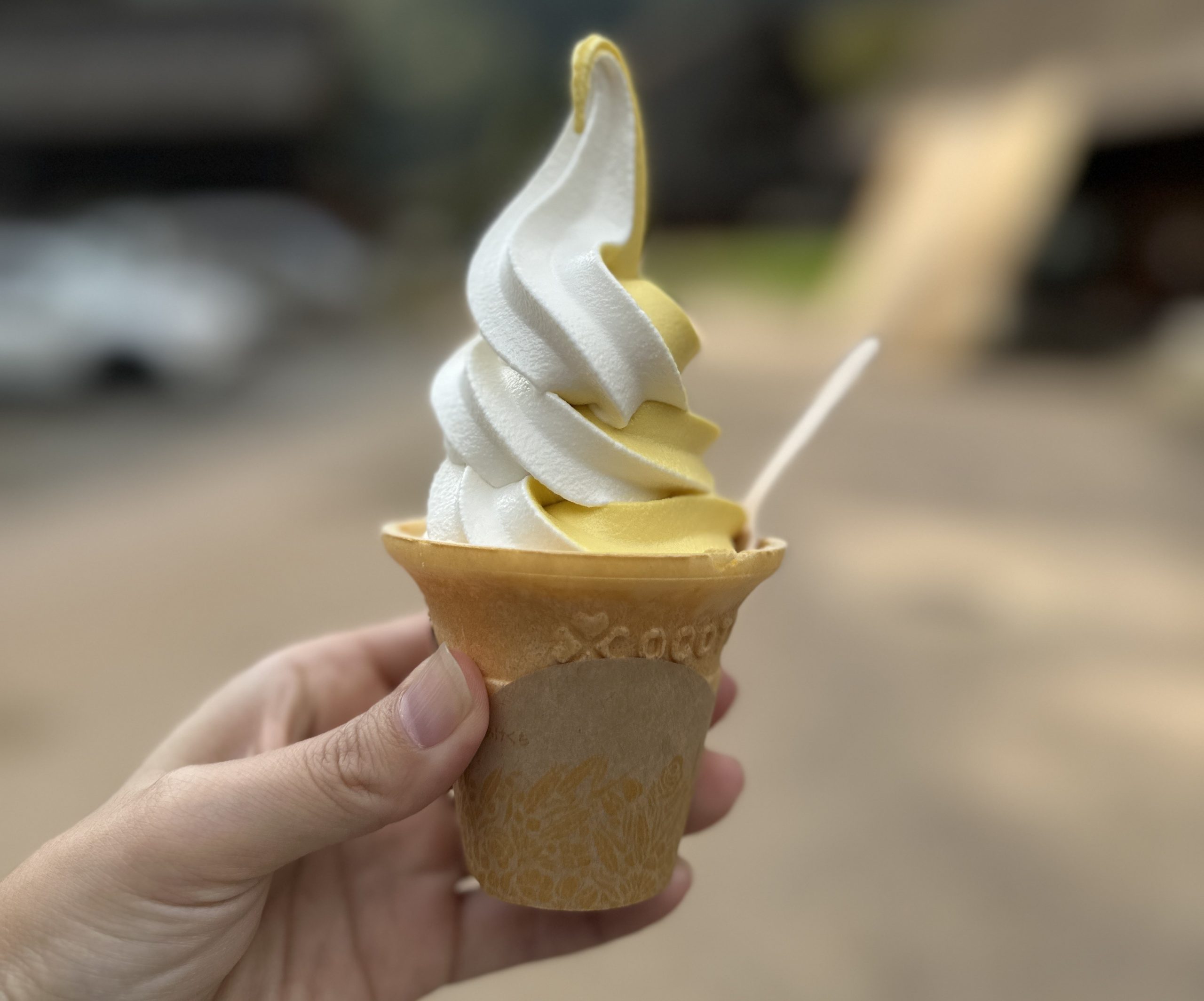 五箇山をじっくり満喫！2つの集落を巡るモデルコース