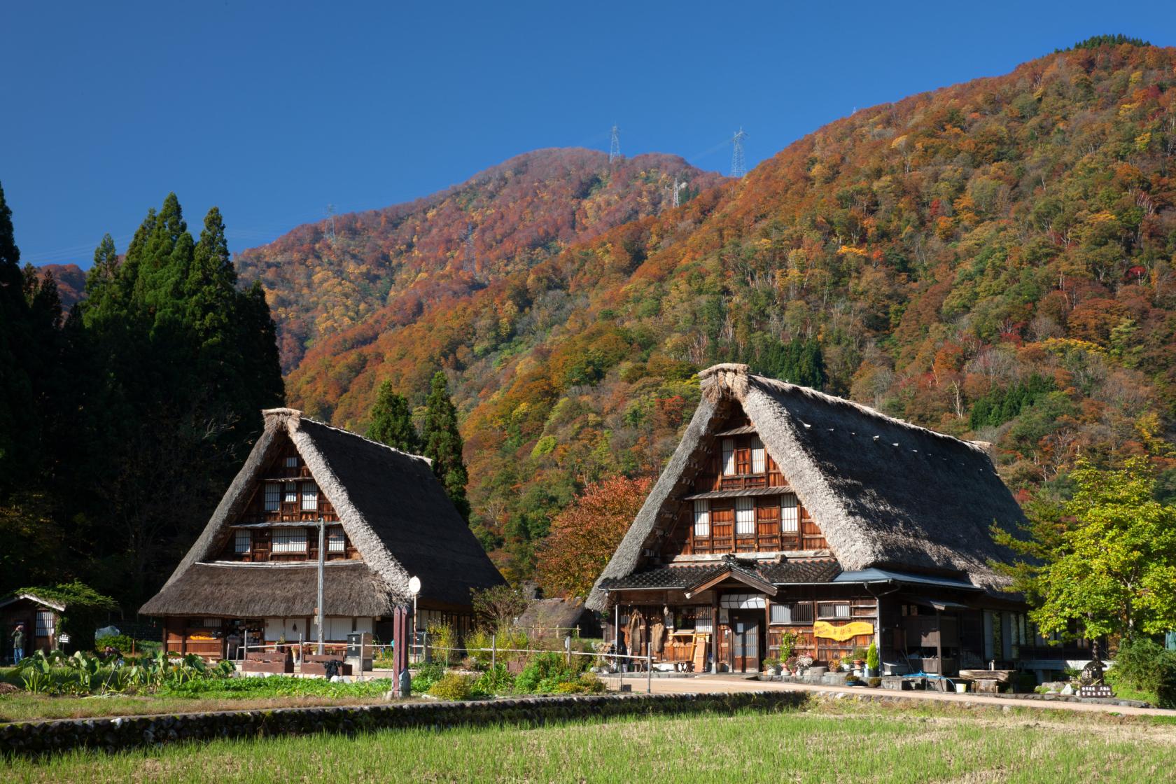 五箇山をじっくり満喫！2つの集落を巡るモデルコース