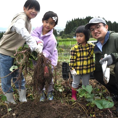 志観寺の棚田で栽培された「さつまいも」掘り体験